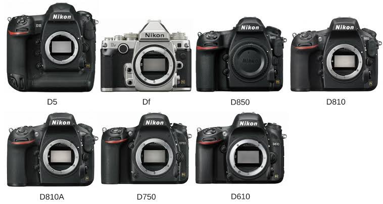 カメラのベースは多分当時最新機のNikon D5だと思うので…
高さ158.5mm横幅160mm。
特I(しばふ)型の顔の大きさは180mm〜210mm位。
今まで数センチ単位を気にせず磯波ちゃんとカメラ描いて来たけど…描く時はより寸法を意識しないとと思いました…。