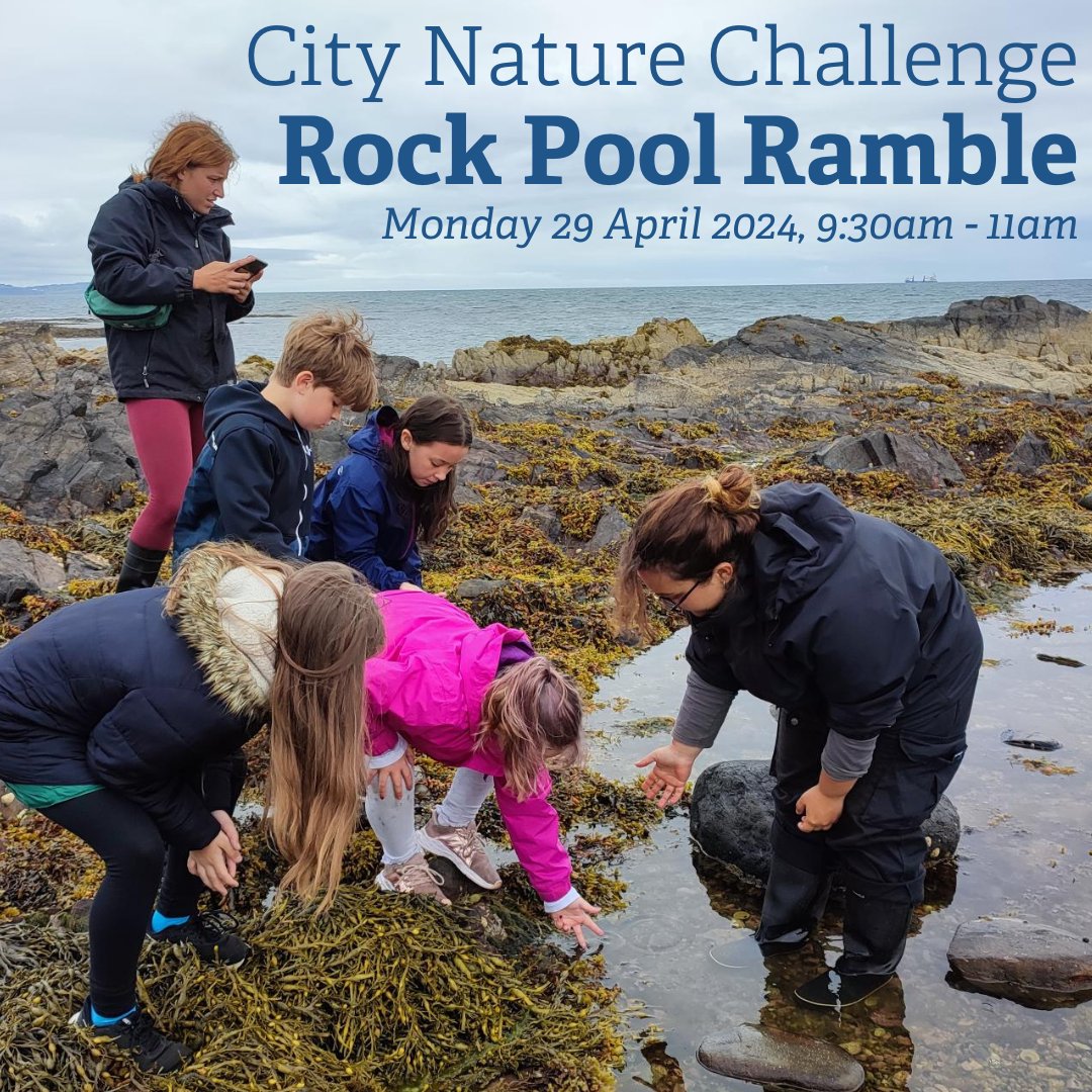 Join our Marine Team and @SeasearchNI on Mon 29 April for a rock pooling extravaganza in Greyabbey, as part of the City Nature Challenge 2024. Come and help us search for and record as many species as possible! No booking required, find out more: loom.ly/24FAmac