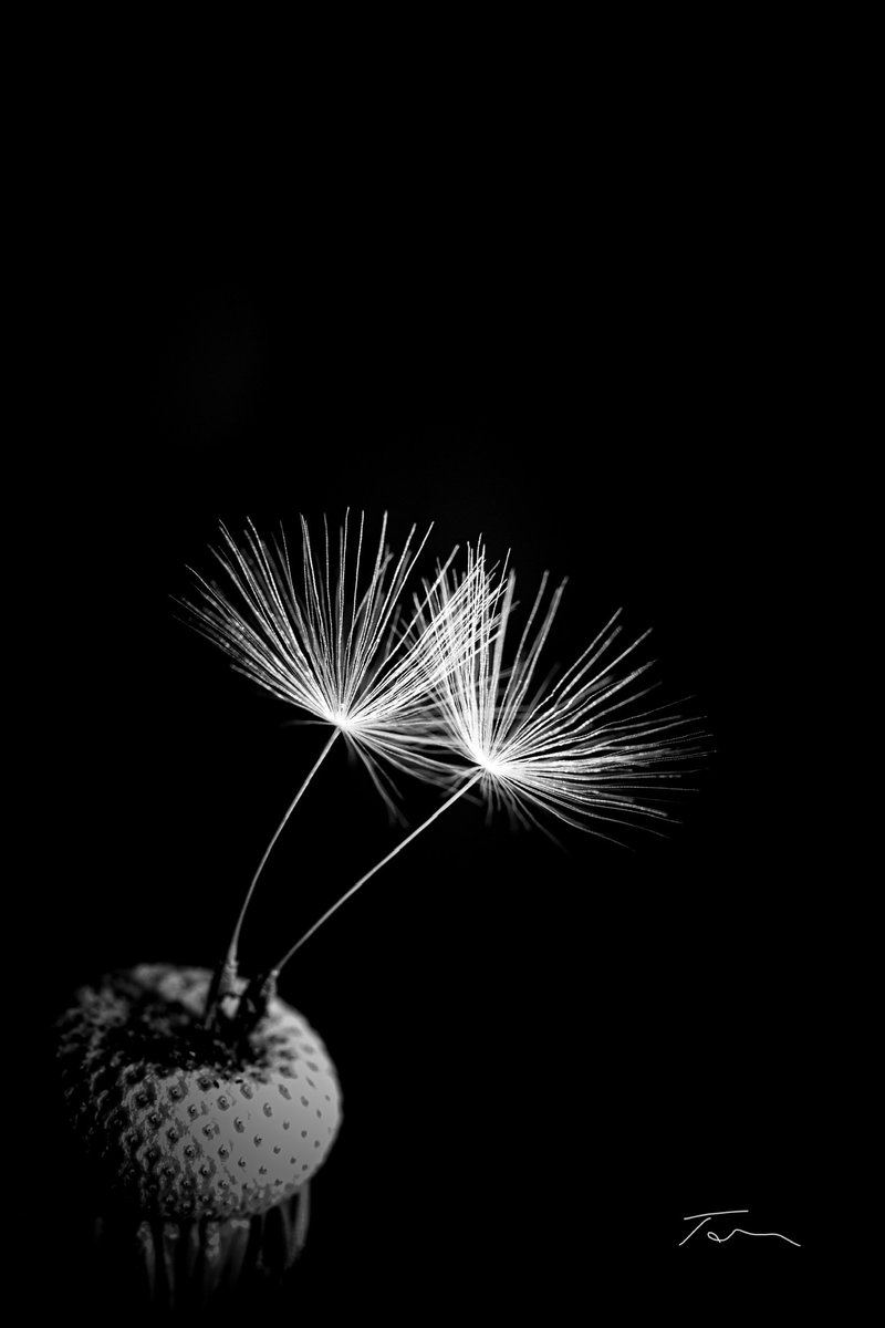 Have a nice day with  #bnw_macro