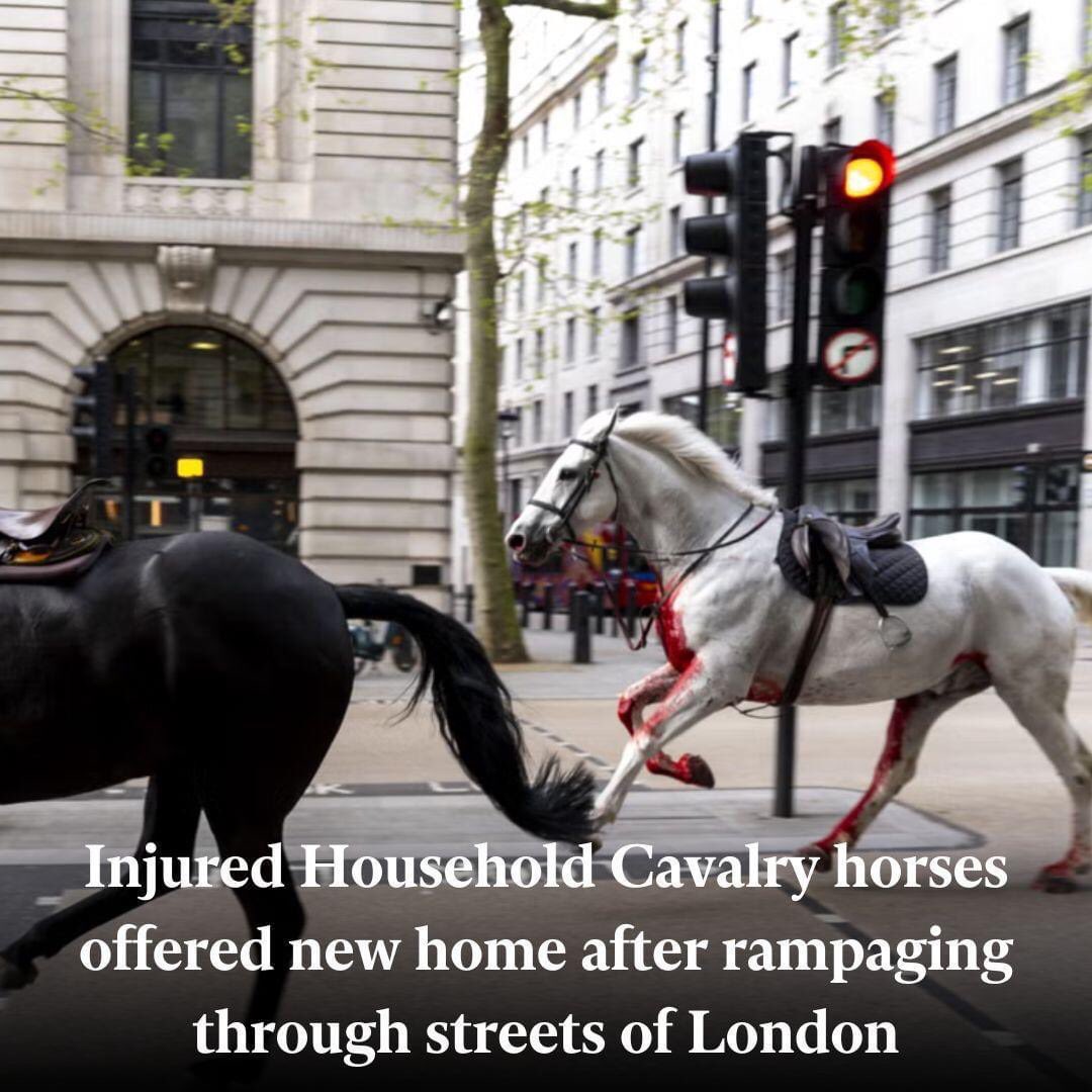 Well done Horse Trust in offering retirement home to injured Household Cavalry horses after running scared through central London @SupportHorses @HCav1660