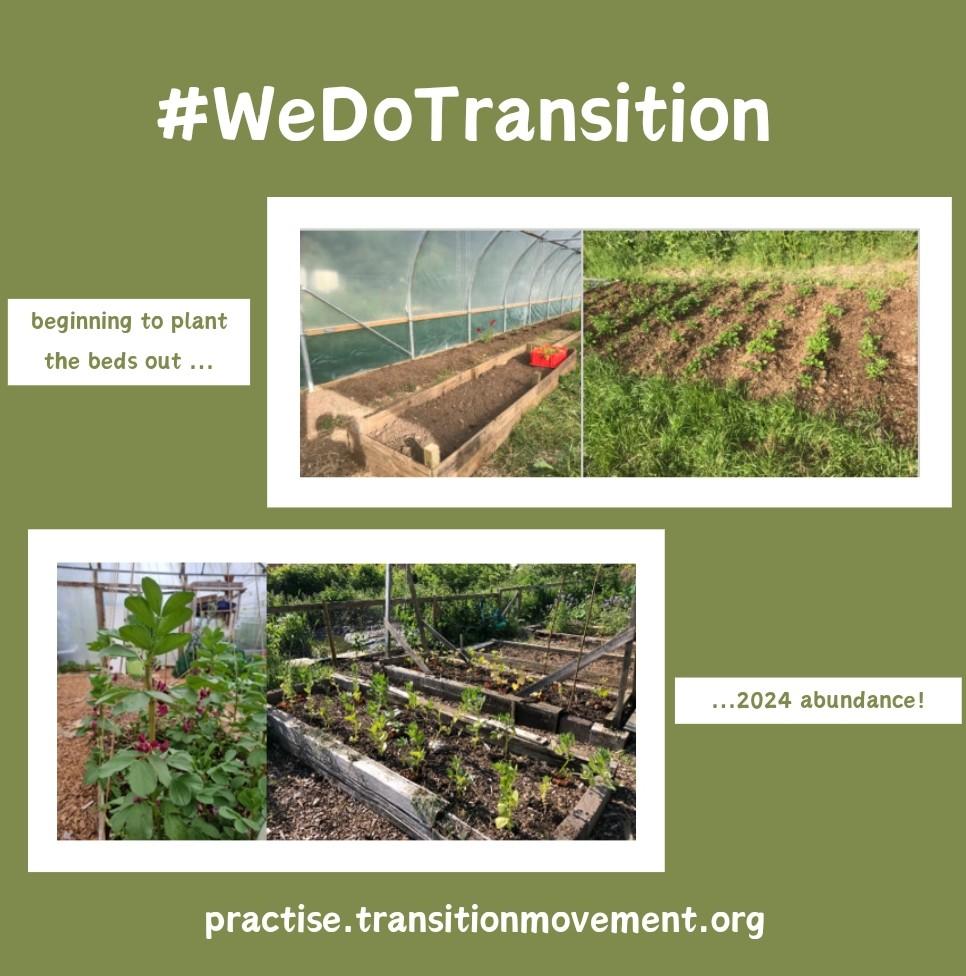 This is our before and after of #practisingtransition on our Community Farm !! It's an exciting work in progress towards food resilience and a more sustainable future 🌱🌱🌱 @transitiontowns @TransitionTog #WeDoTransition #WeAreTransition #TransitionNetwork
