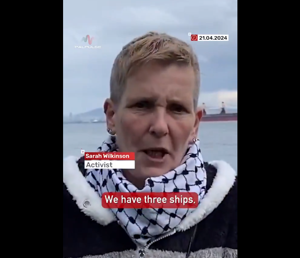 The anti-Israel cause in a nutshell. Face of the new flotilla hoping to reach Gaza is Sarah Wilkinson. Wilkinson is a Holocaust denier and a rabid antisemitic conspiracy theorist. A simple rule - wherever anti-Israel activists gather antisemites will be leading them.