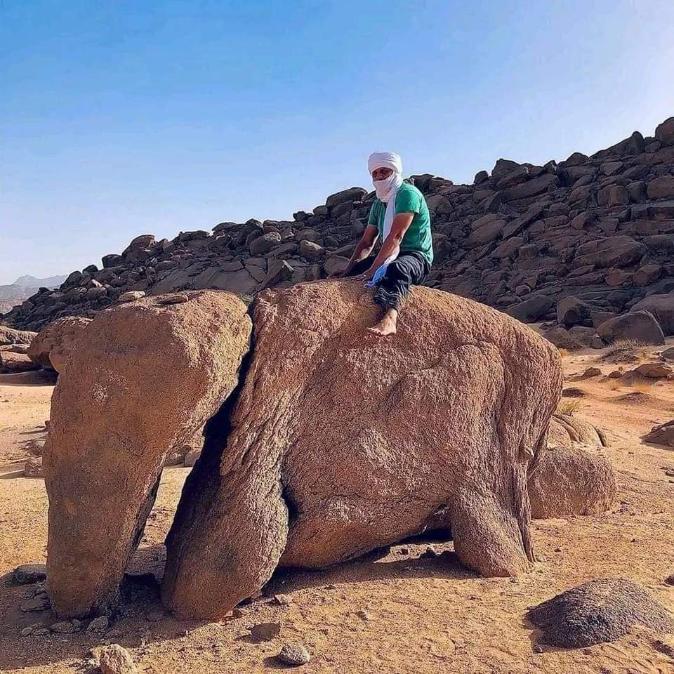 Le désert d'Algérie 👀 📸🇩🇿🏜️