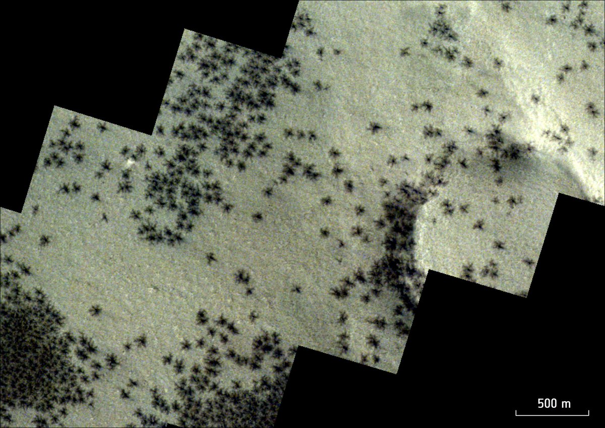 Remember we posted about 'spiders on Mars' last week? Well, here's a close-up of those features, seen from @ESA_ExoMars @ESA_TGO 👇 🔗esa.int/ESA_Multimedia…