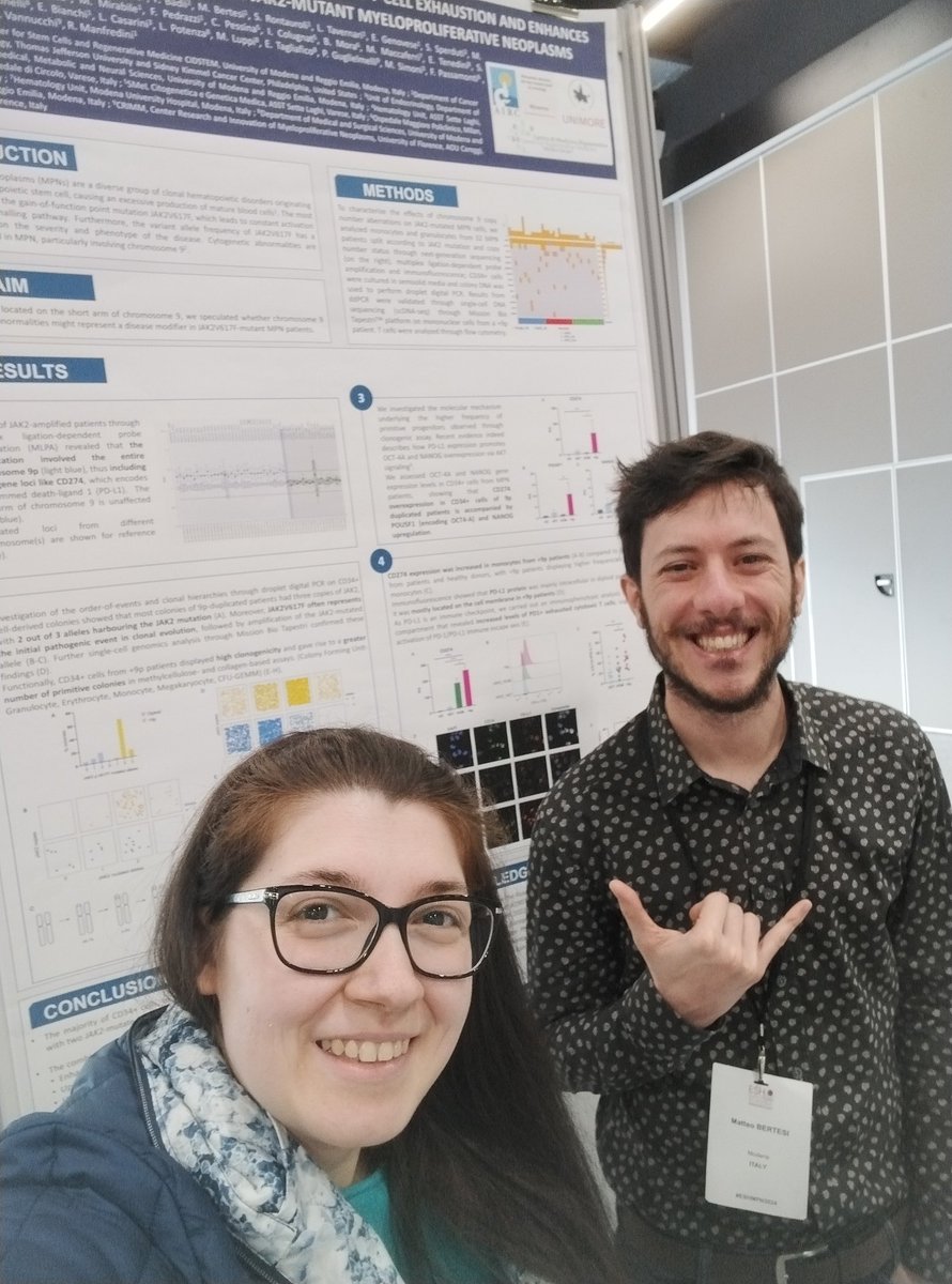 RM_Lab_'s tweet image. Great poster session at #ESHMPN2024. Come see our work about chromosome 9p duplication in JAK2V617F MPN patients 🧬