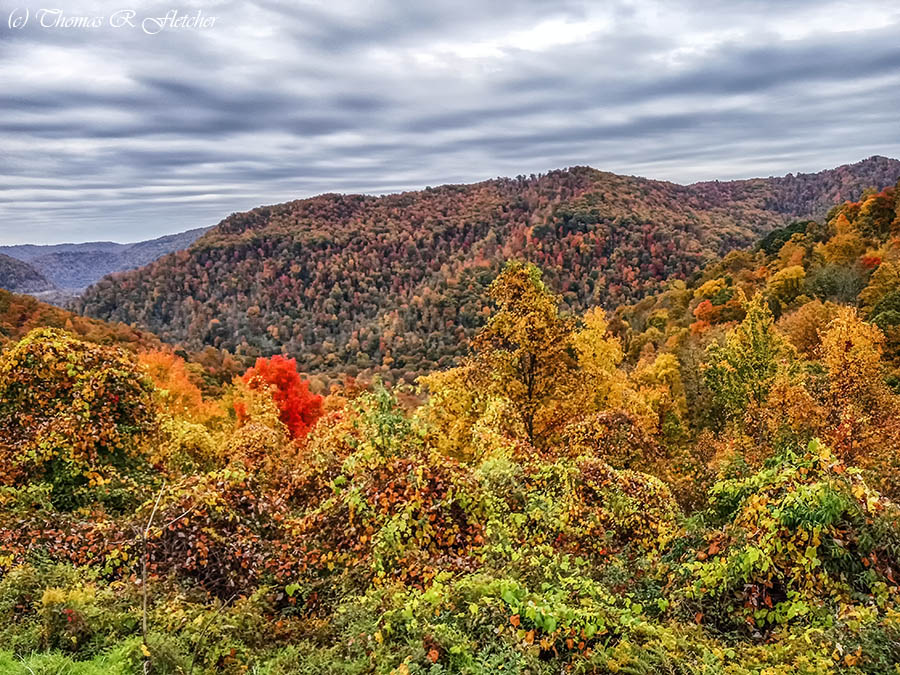 'Autumn's Array'
#PowellMountainOverlook #AlmostHeaven #WestVirginia #StormHour #ThePhotoHour