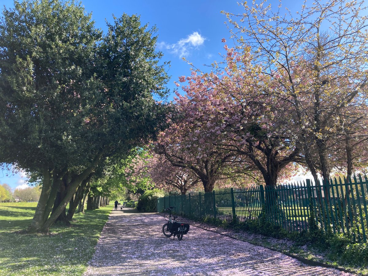 twccg_org's tweet image. Embracing a lovely morning of glorious blue skies and pink blossoms. A privilege to support our rider yesterday at our Friday #ScootAndGlide learn-to-ride session and #BikeLibrary

@CyclingUK_NW 
@BeeNetwork 
@TamesideCouncil 
@TamesideCorr
