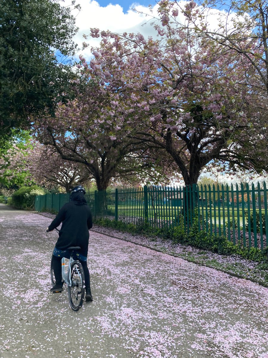 twccg_org's tweet image. Embracing a lovely morning of glorious blue skies and pink blossoms. A privilege to support our rider yesterday at our Friday #ScootAndGlide learn-to-ride session and #BikeLibrary

@CyclingUK_NW 
@BeeNetwork 
@TamesideCouncil 
@TamesideCorr