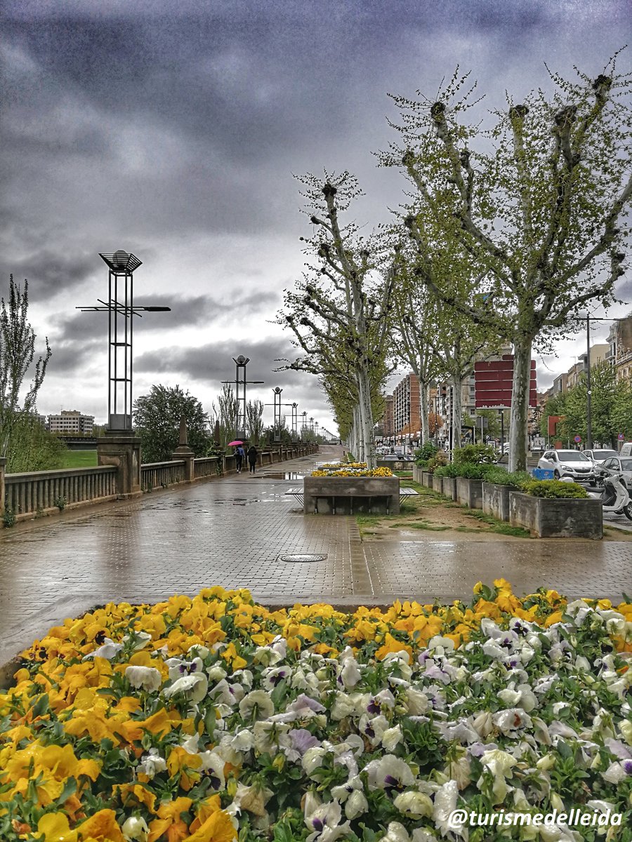 🙋‍♀️🙋 Bon dia i benvinguda pluja! ☔️ #Lleida #inLOVEwithCatalonia
