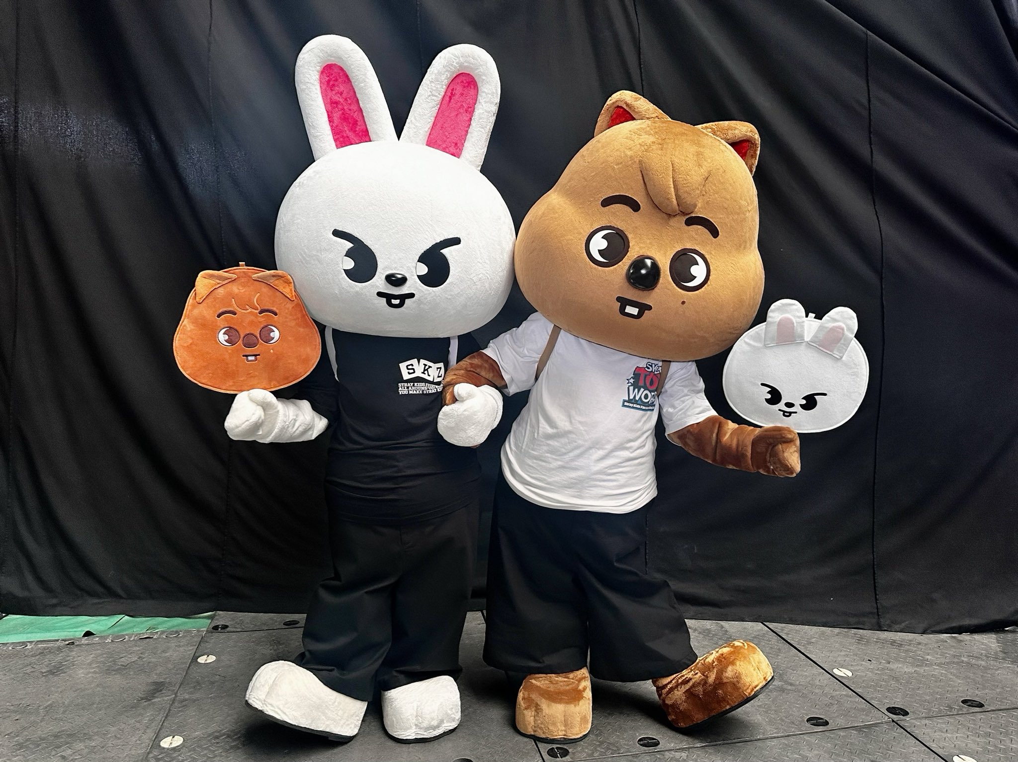 stray kids skzoo スキズ フィリックス ピリ ポラロイド トレカ