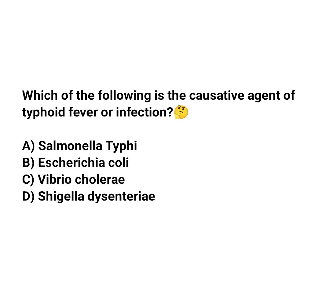 Which of the following is the causative agent of typhoid fever or infection.?