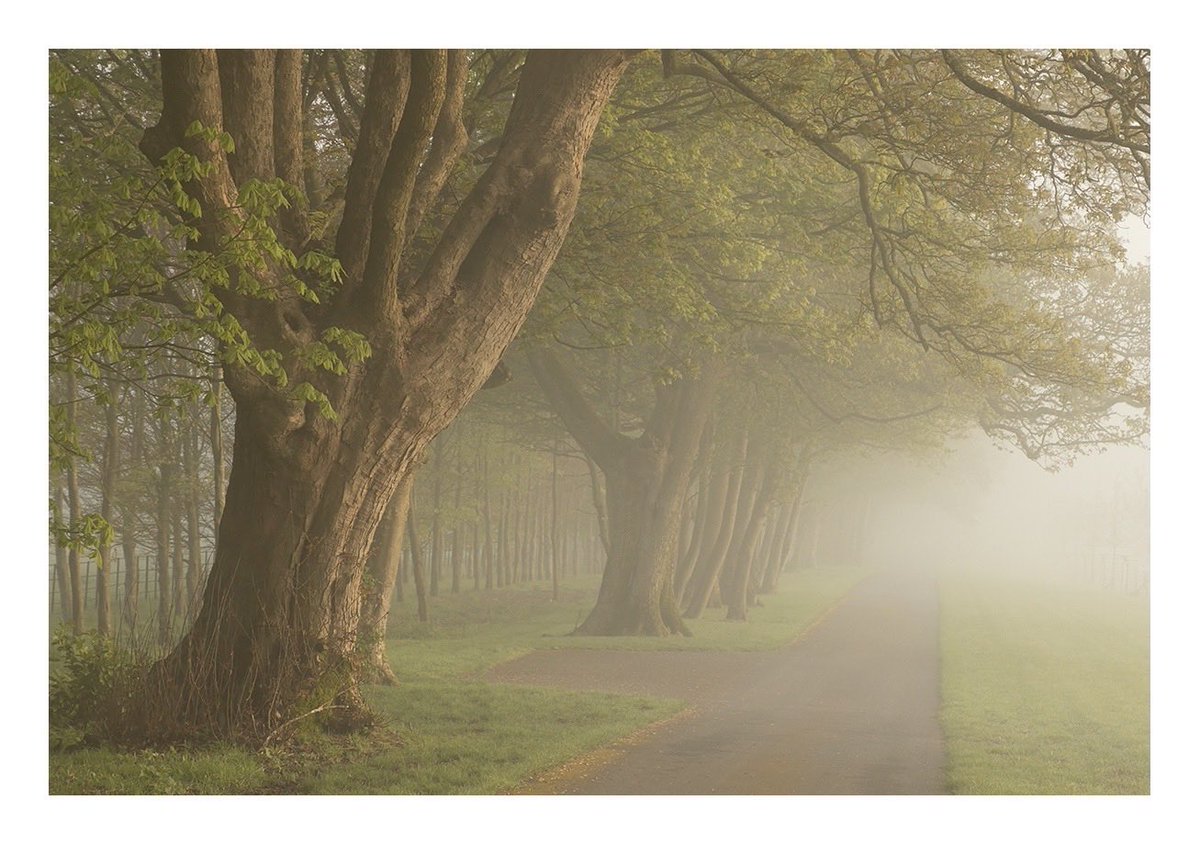 A lovely little back road, tucked away in the hills of North Dorset..

#Spring