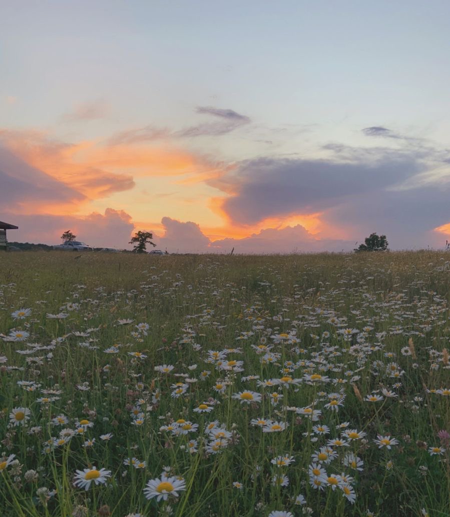 Spring sunsets