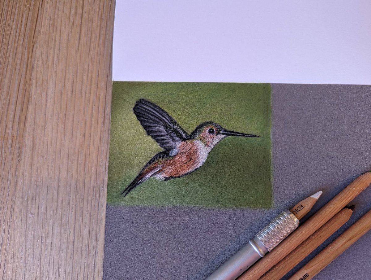 Saturday morning quick tiny hummingbird sketch.
