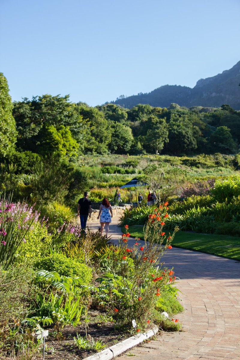 Happy Freedom Day, SA! 🇿🇦 Let's celebrate the spirit of freedom and unity that defines us. What better way to honour this day than by exploring the heart and soul of Cape Town? 🌍✨ Dive into an adventure at one of the Cape Town Big 6 attractions! #CapeTownBig6 #FreedomDay