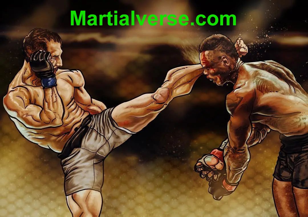 @MMAFighting #DomainNameForSale