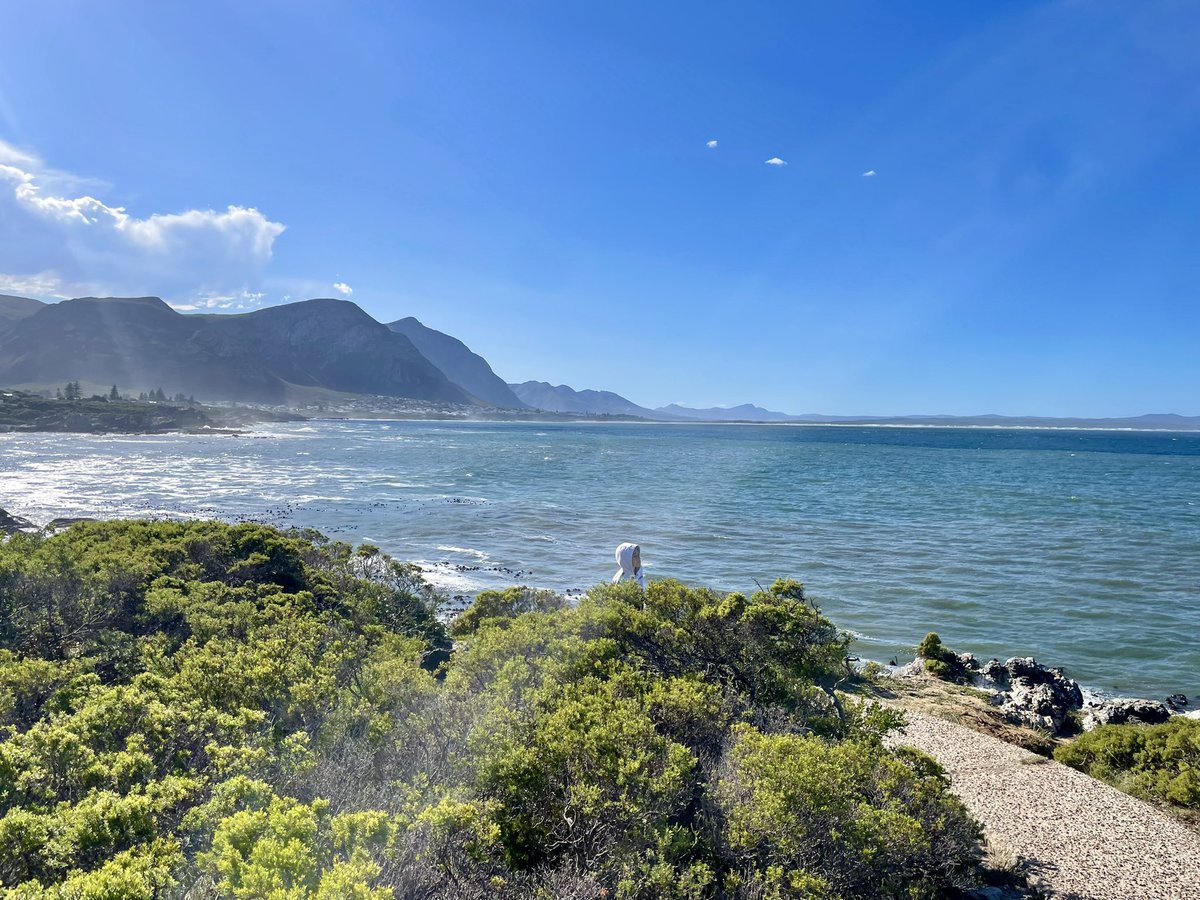 Walking at the cliff path on a Saturday morning...