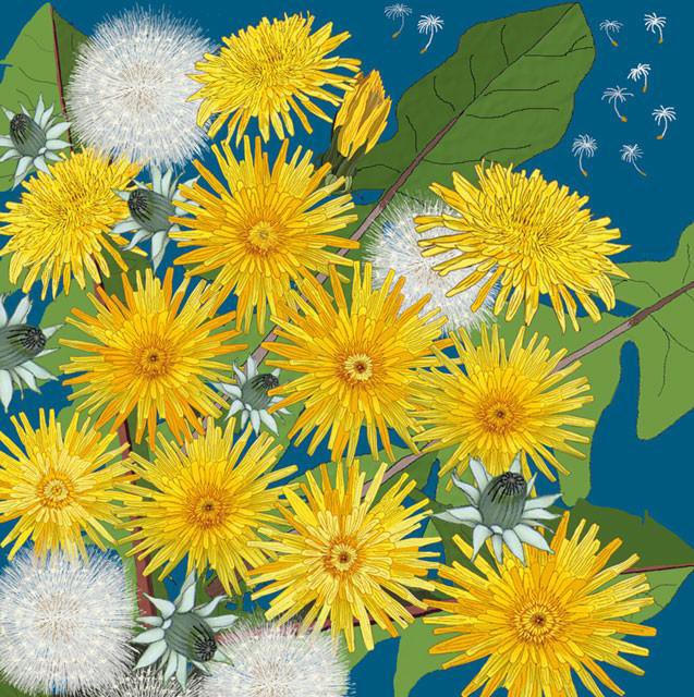 Dandelions and Wishes #MigWyeth