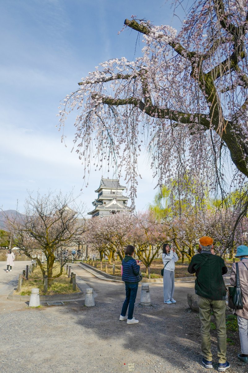 Leica_Q_Tsuru tweet picture