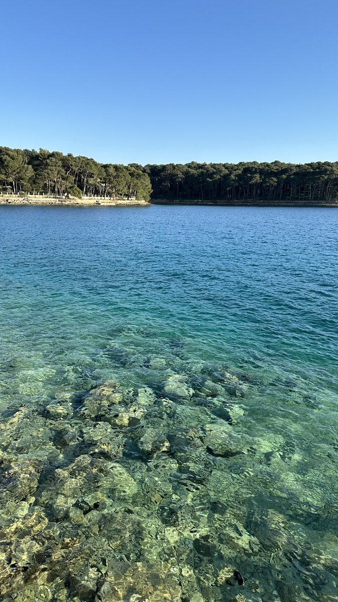 Colors of Čikat bay. 💚💙🩵 #golosinj #losinjmoments