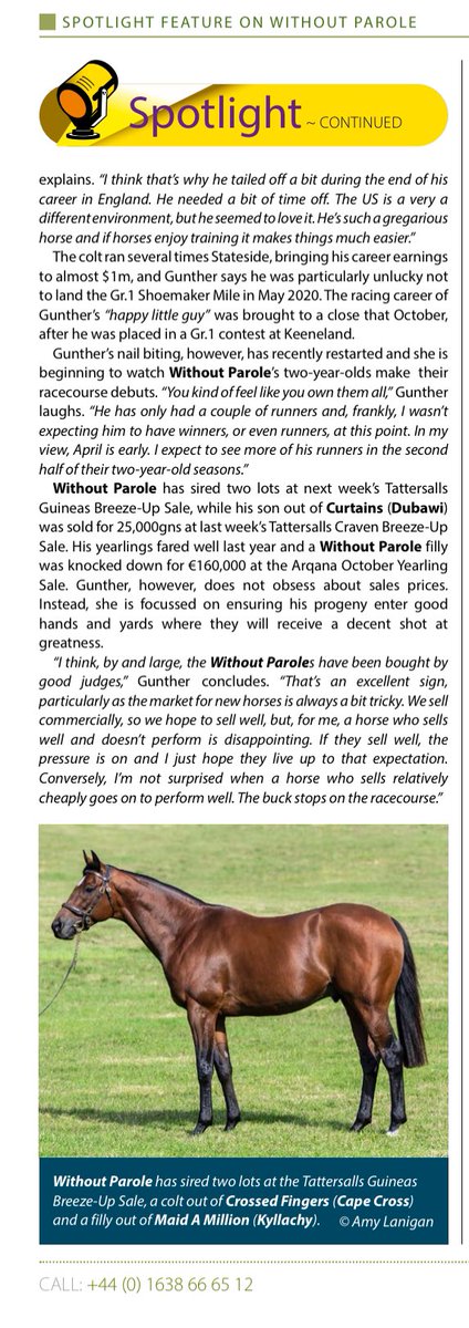 ‘I think the WITHOUT PAROLES have been bought by good judges. That’s an excellent sign’ Read @tanyagun on WITHOUT PAROLE in today’s @bloodstocknews 👇 #WithoutParole #TheFrankelFactor