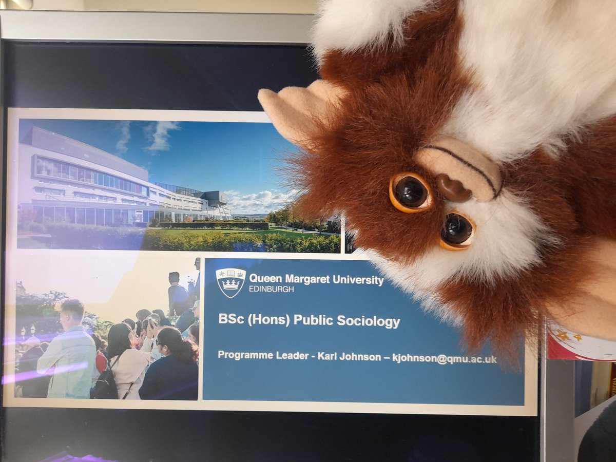 It's Offer Holder Day @QMUniversity & I'm doing the programme talk for #PublicSociology #Sociology this morning.
Couldn't bring the dog, sadly, so my mogwai is substituting.