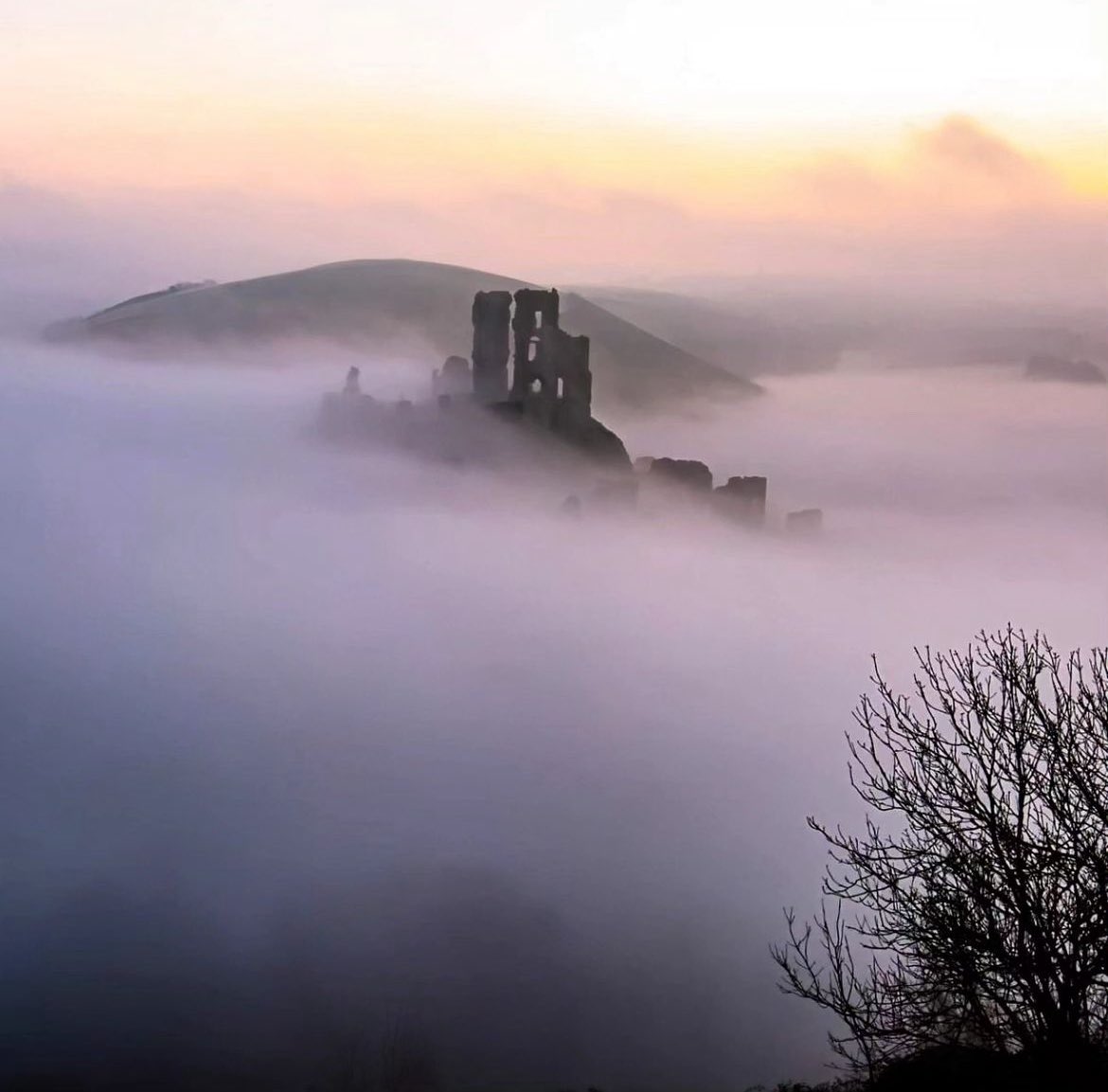 A lovely image of Corfe Castle on a foggy morning, captured by Instagrammer bonderella71 

#sheclicksnet #femalephotographers #women #photography #femalephotographer #landscapephotography #landscape #castle  #morning #fog