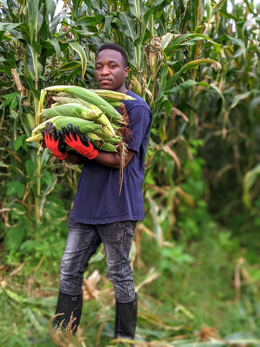 Agriculture is still my first option. Happy weekend to everybody !!