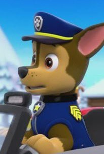 Chase #pawpatrol