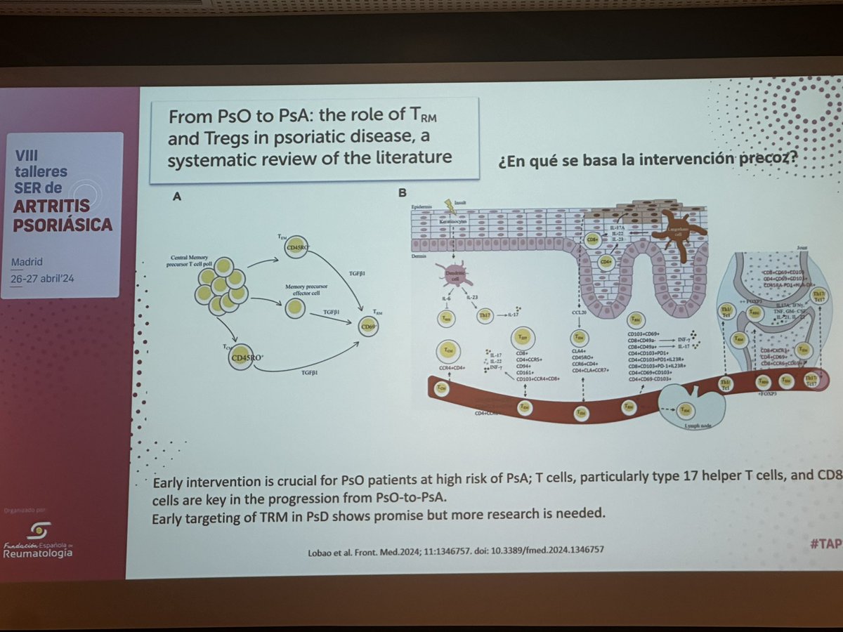 Taller de prevención o interceptación en enfermedad ps. #APS24 #TAP24 @CEADE_ @accionpsoriasis @ConArtritis 👏 🧵