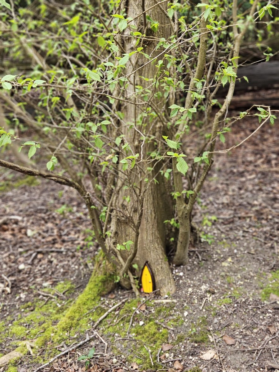 Excited to be hosting families at our Woodland Walk open morning today.