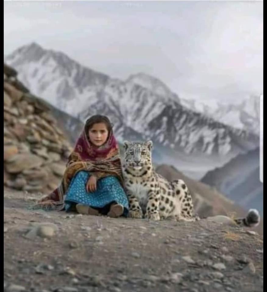 ' incredible Afghan girl who rescued a baby snow leopard She nurtured and cared for the cub until it was ready to return to the Pamir Mountains Now, the majestic snow leopard visits her frequently, spending hours in her presence kindness and compassion is the Way Dédicace à Surya