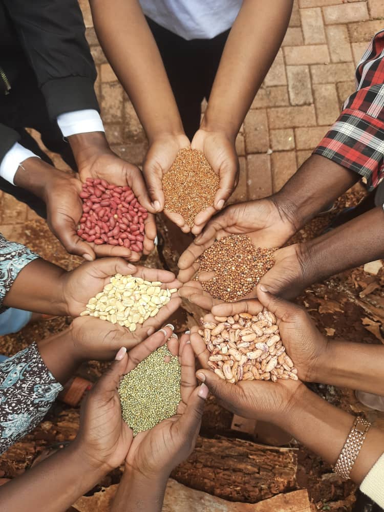 Seed is the repository of life. Promote seed Sovereignty. #InternationalSeedsDay #Seedsovereignty #handsoffourseeds.