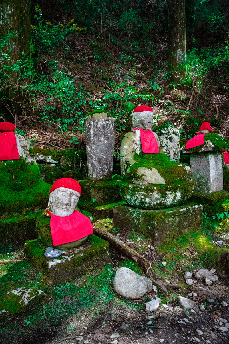 並び地蔵(化け地蔵) 行きと帰りで数が違う現象が起きるとの事だけど多すぎて数える気にならんかった