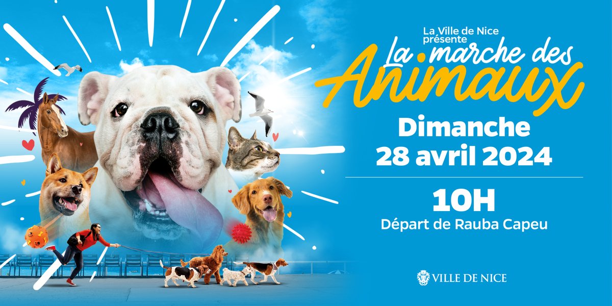 🐶 À vos coussinets, la marche des animaux est de retour le 28 avril à partir de 10h ! 🐴 C'est parti pour une marche joyeuse et triomphale avec vos amis à poils sur la Promenade des Anglais au départ de Rauba Capeu en direction du Negresco! 🦙 👉 nice.fr/fr/l-agenda/la…