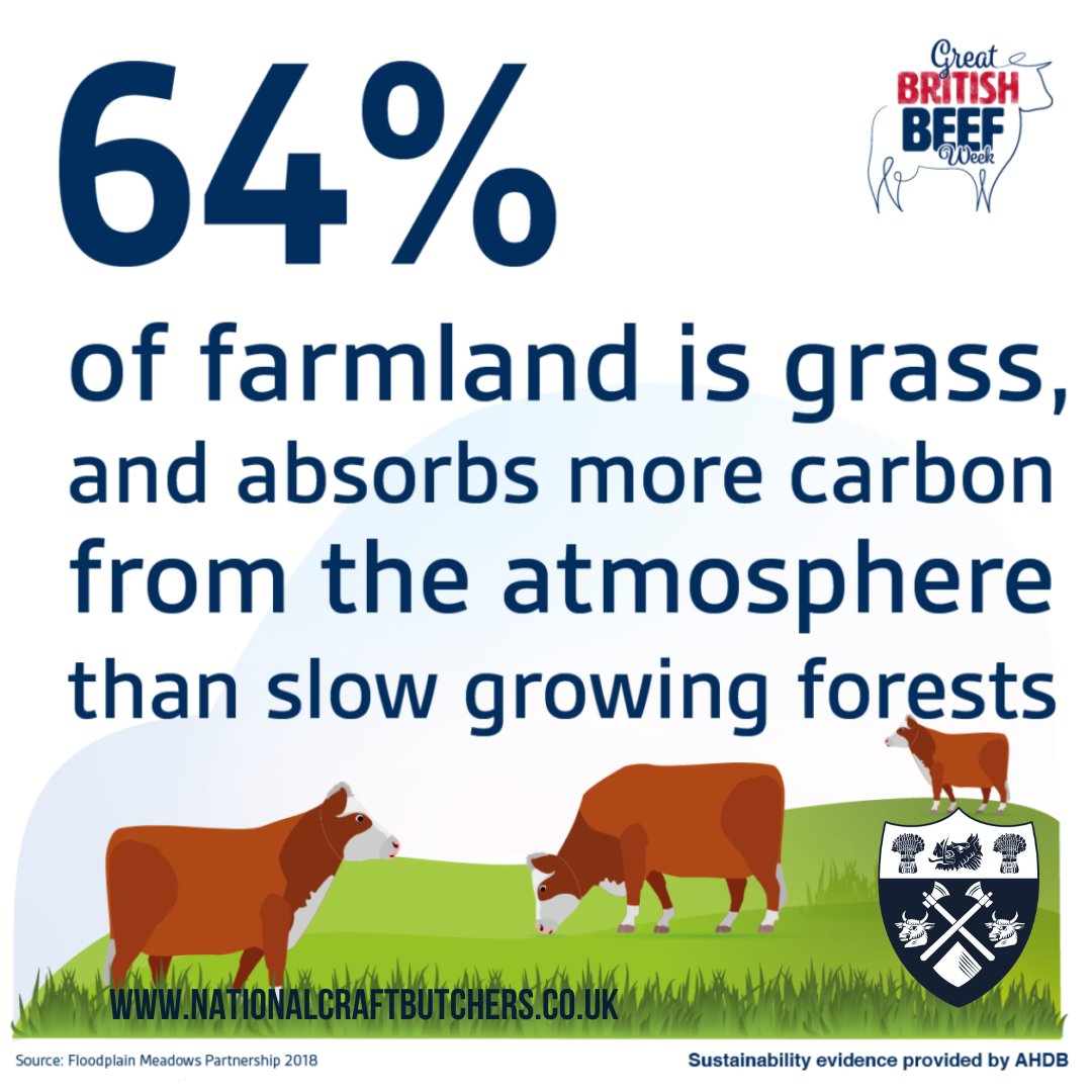 64% of farmland is grass and absorbs more carbon from the atmosphere than slow-growing forests.

Celebrate Great British Beef Week! 

#NationalCraftButchers #NCB #CraftButchers #LoveBeef #GBBW2024 #GBBW24 #GBBW #BritishBeef #NaturallyDeliciousBeef @Ladiesinbeef1