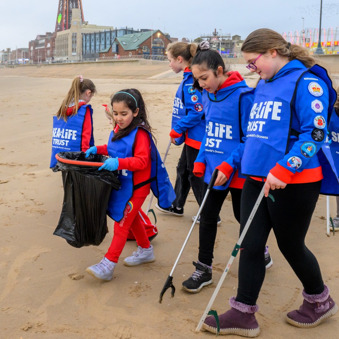 Our brand new challenge pack Sea Savers in partnership with @SEALIFEcentre is a great way for girls to learn all about marine conservation! If you're doing this challenge please send us any photos to malika.hunter@girlguidingnwe.org.uk or tag us! 🪼🦈 ow.ly/OaT850RhVYZ