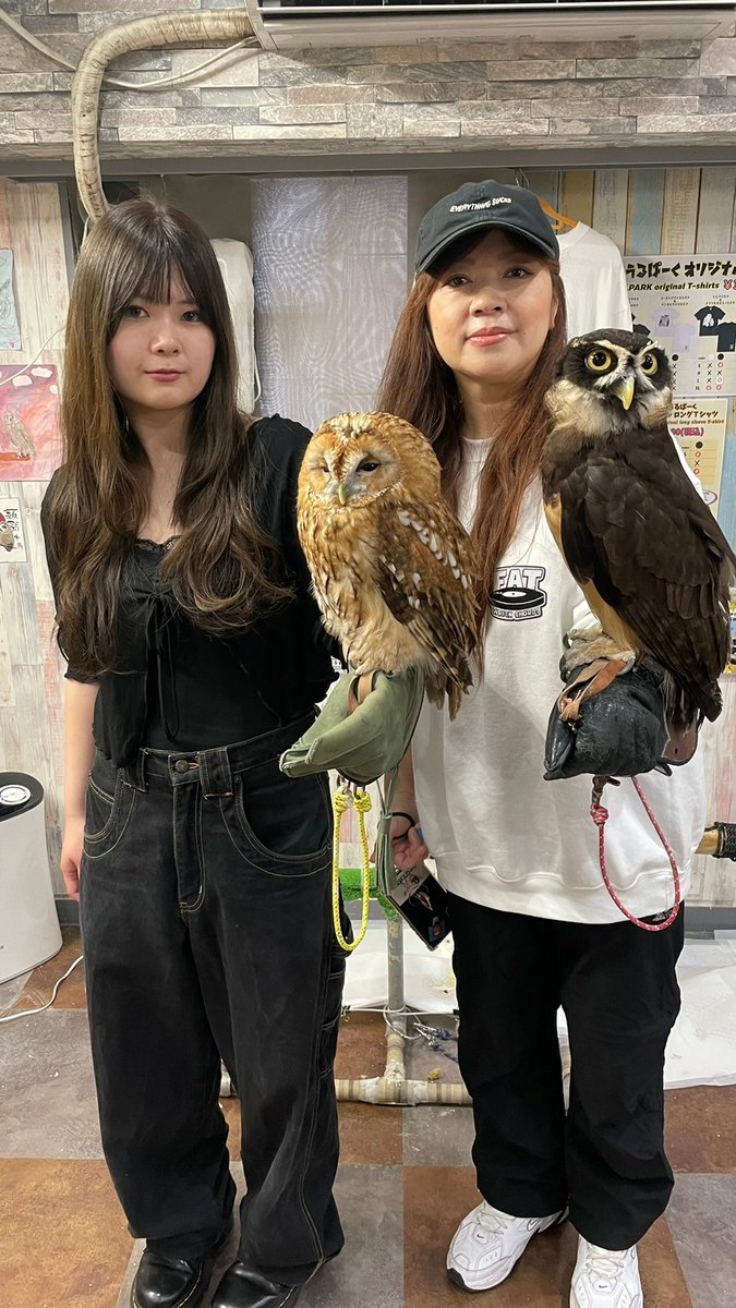 owlparktokyo tweet picture