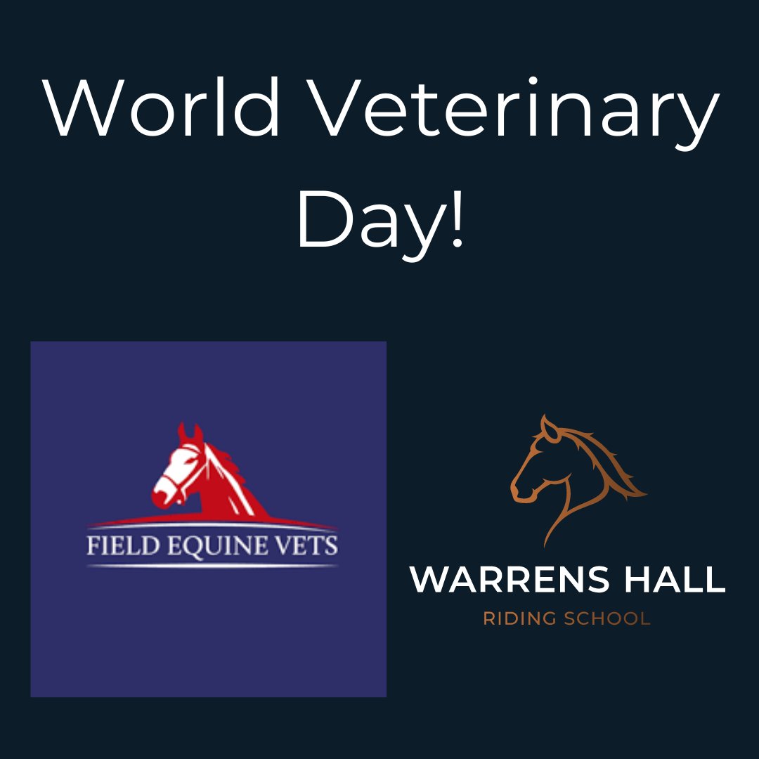 Today's #WorldVeterniaryDay and to mark it, we would like to say a massive thank you to our chosen and trusted vet partner @FieldEquineVets who always provide the best and top quality care of our equine family! 🐴🥰❤️