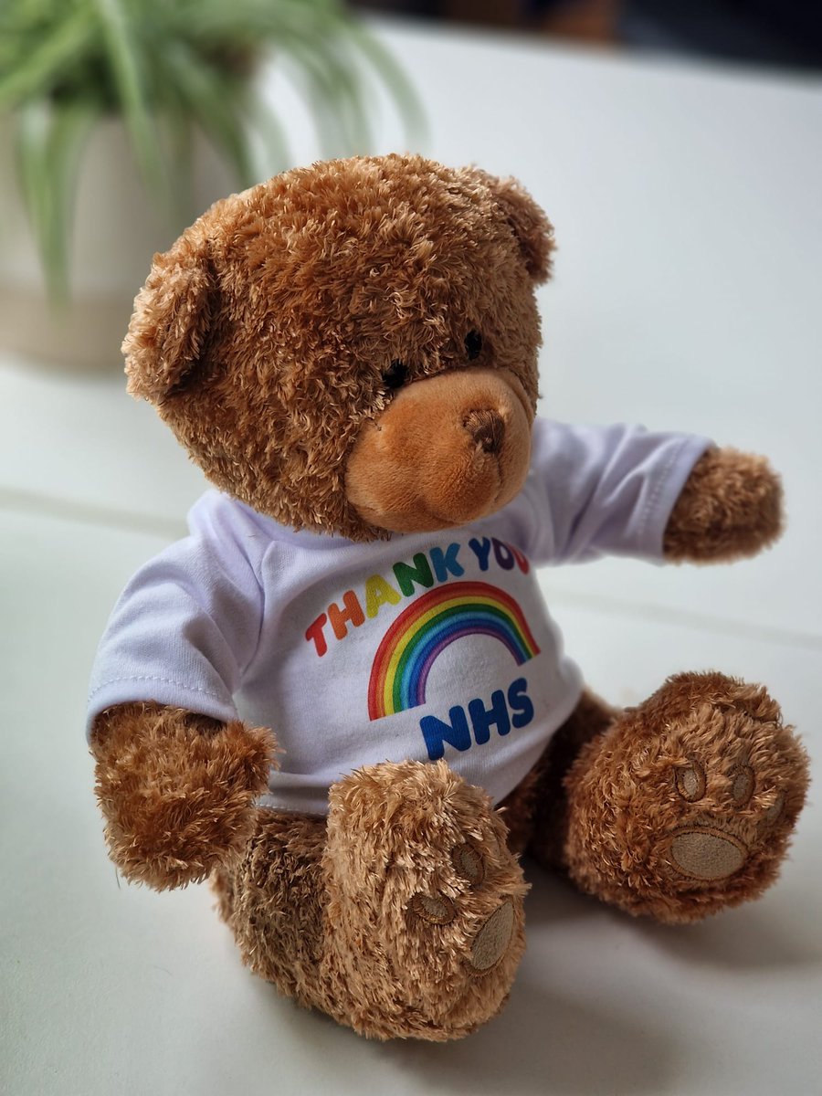 Give thanks with Theo's new friend, Bradley Bear 🌈 Every day the team at Sheffield Children's work tirelessly to provide top-notch care with compassion. Support their work by purchasing through our online shop. 🔗Find Bradley here: tchc-shop.myshopify.com/products/bradl…