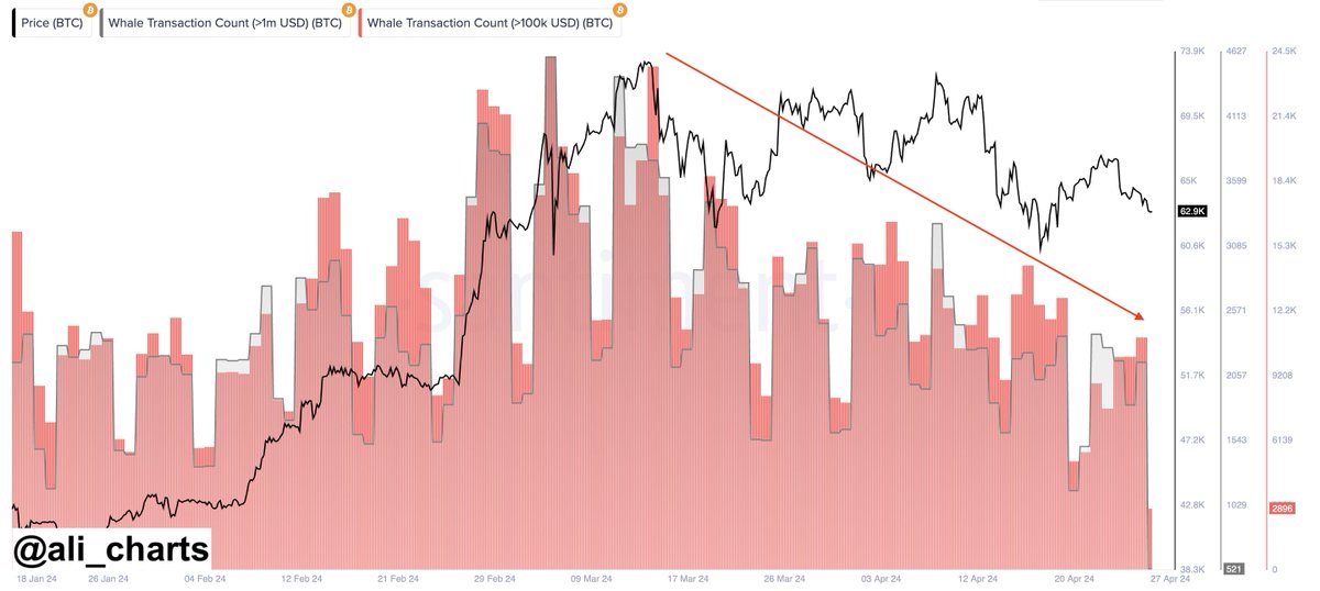 Bitcoin Whale Activity Declining – Why A Turnaround Is Important