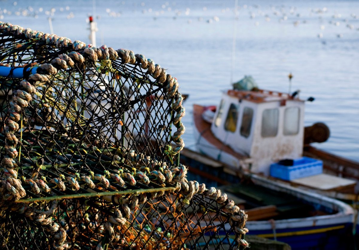 Happy (1st) setting Day, PEI! 🦞
As the lobster fishing season kicks off, we want to wish all the hardworking fishers and crews on the South Shore a safe and prosperous season! 🦞🌊 #LobsterFishing #SouthShore