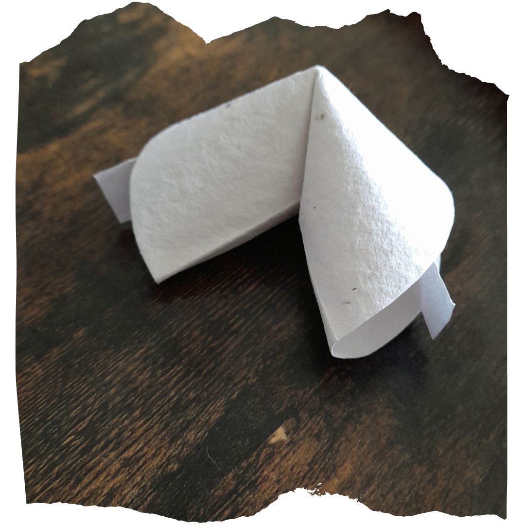 NEW! Wildflower seed paper origami fortune cookies 🥠

#UKGiftHour #UKGiftAM #Caturday #gardening
