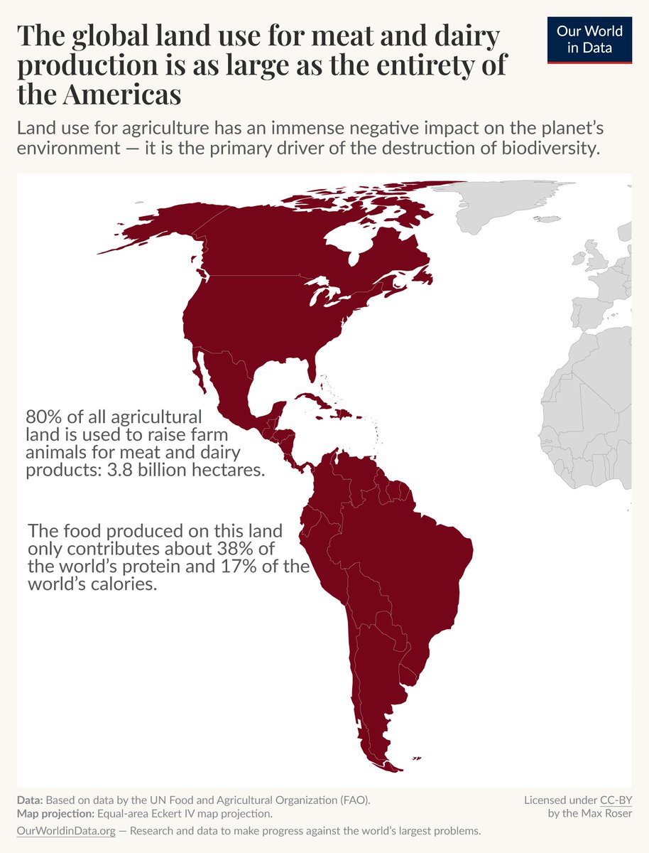 University of Oxford (@uniofoxford) on Twitter photo 77% of all agricultural land is used to raise livestock for meat and dairy.
This is an area as large as the entirety of the Americas.
📈 | <a href="/OurWorldInData/">Our World in Data</a> 77% of all agricultural land is used to raise livestock for meat and dairy.
This is an area as large as the entirety of the Americas.
📈 | <a href="/OurWorldInData/">Our World in Data</a>