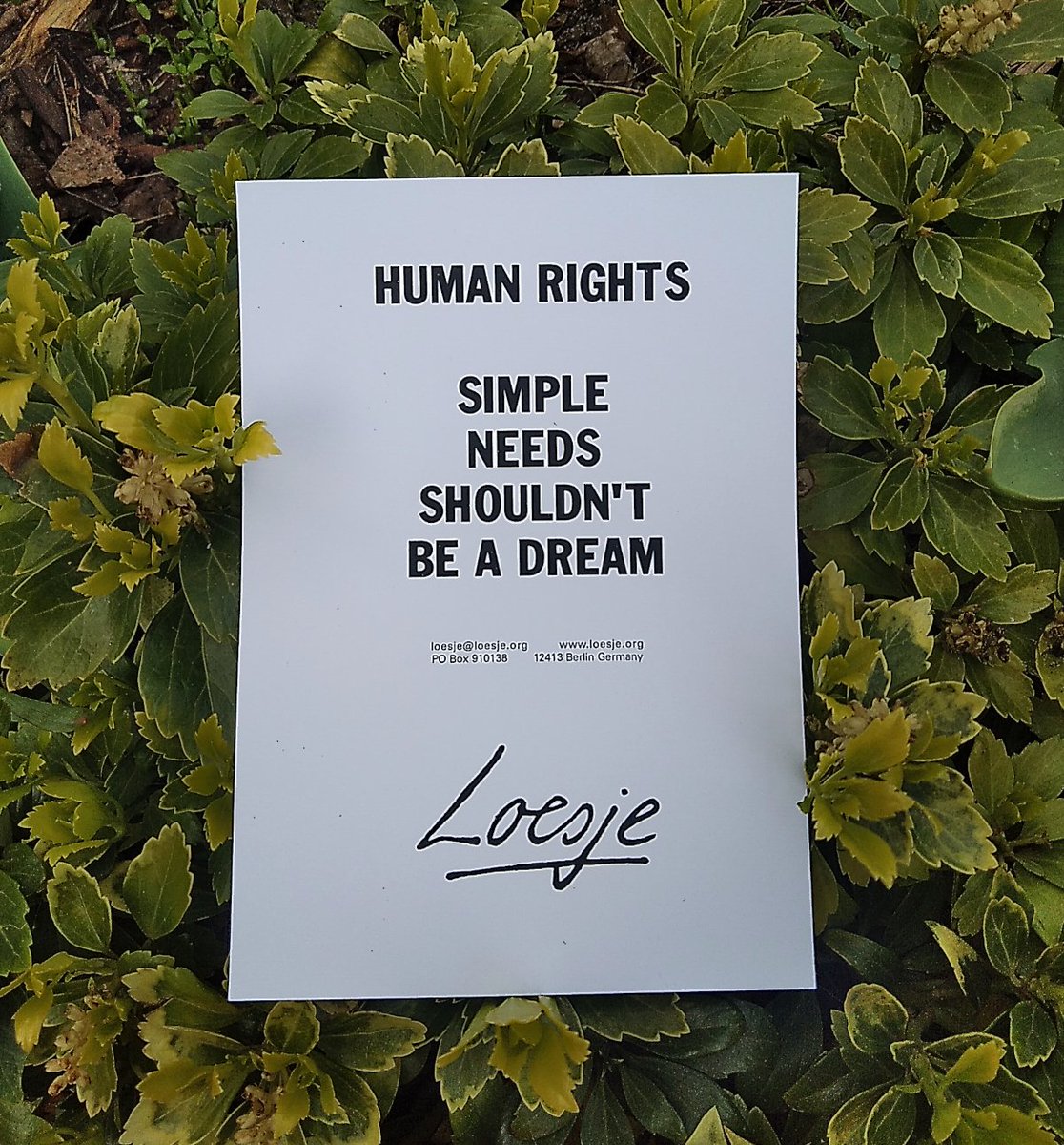 Human rights 
   simple needs shouldn't be a dream

#Loesje
#humanrights #needs #rights #equality
#peace #peaceforeveryone #peacenow