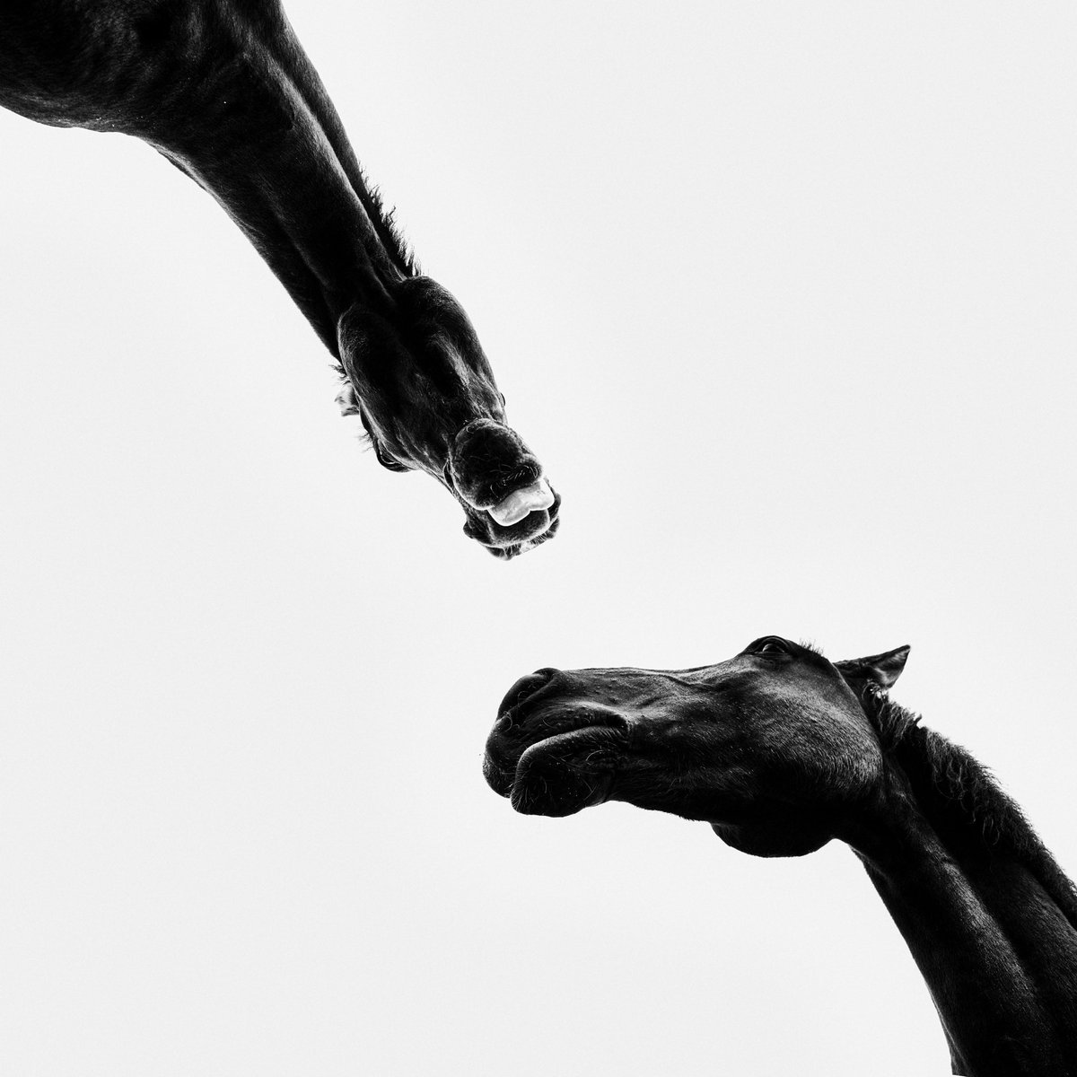 Good morning and have a wonderful weekend :)