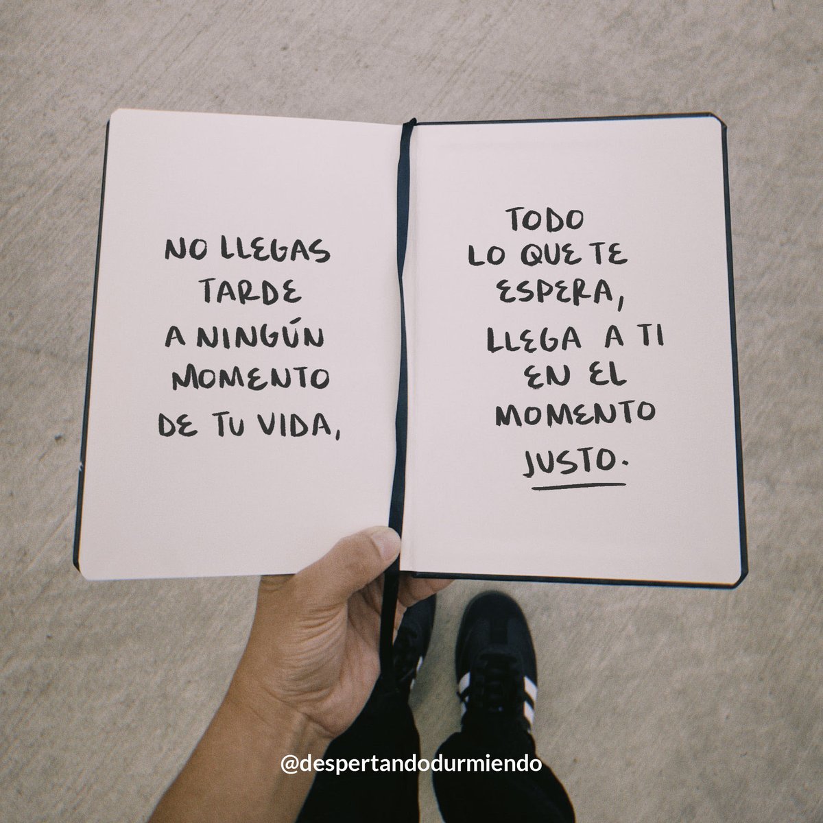 Despertando + Durmiendo Podcast (@despertandodurm) on Twitter photo 