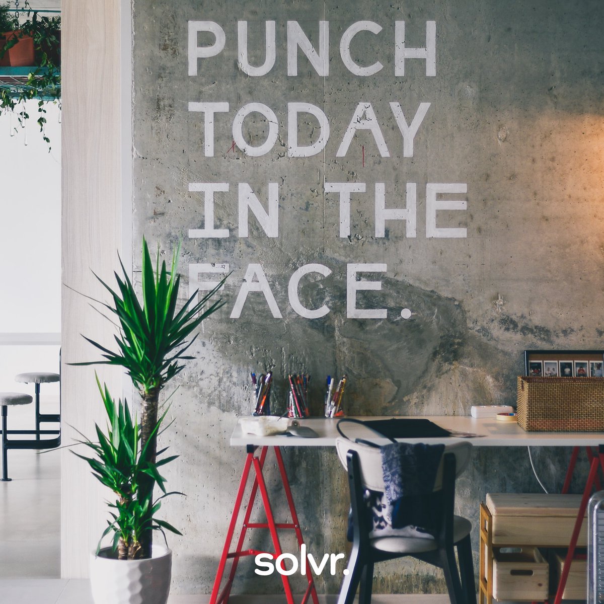 Reach the next level together with solvr. 🆙⭐️

#consideritdone #creativebusiness #virtualexperts #designforafixedprice