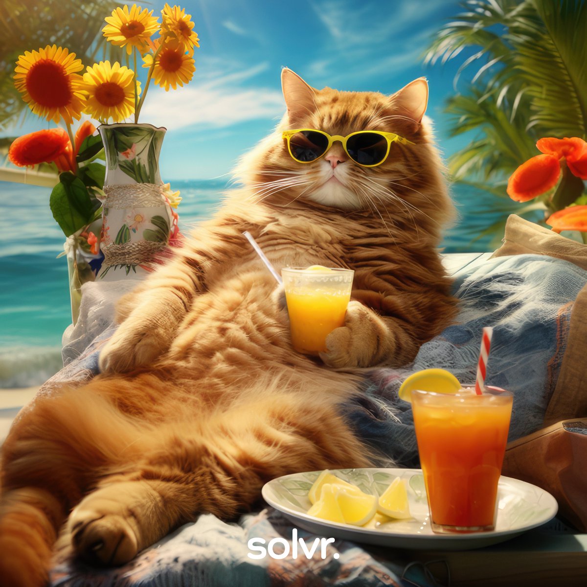 Relax! solvr. takes care of your tasks. 🌴🍹

#consideritdone #solvrsolutions #digitaldynamics #haveaniceday