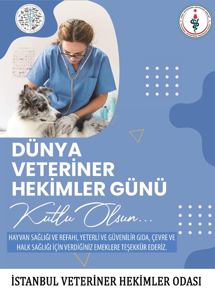 Dünya Veteriner Hekimler Günü Basın Açıklamamız; ivho.org.tr/pages/etkinlik…